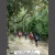 Escull Aventura - GR221 Senderismo - Trekking - Hiking (901).jpg