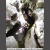 Escull Aventura- Torrent de Binifald-Barrancos-Canyoning (4).jpg
