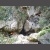 Escull Aventura- Torrent de Binifald-Barrancos-Canyoning (13).jpg