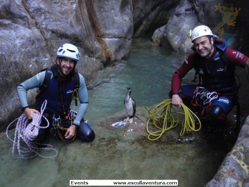 Sporting event: Canyoning